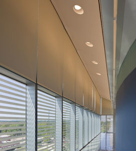 Draper Solar Shades